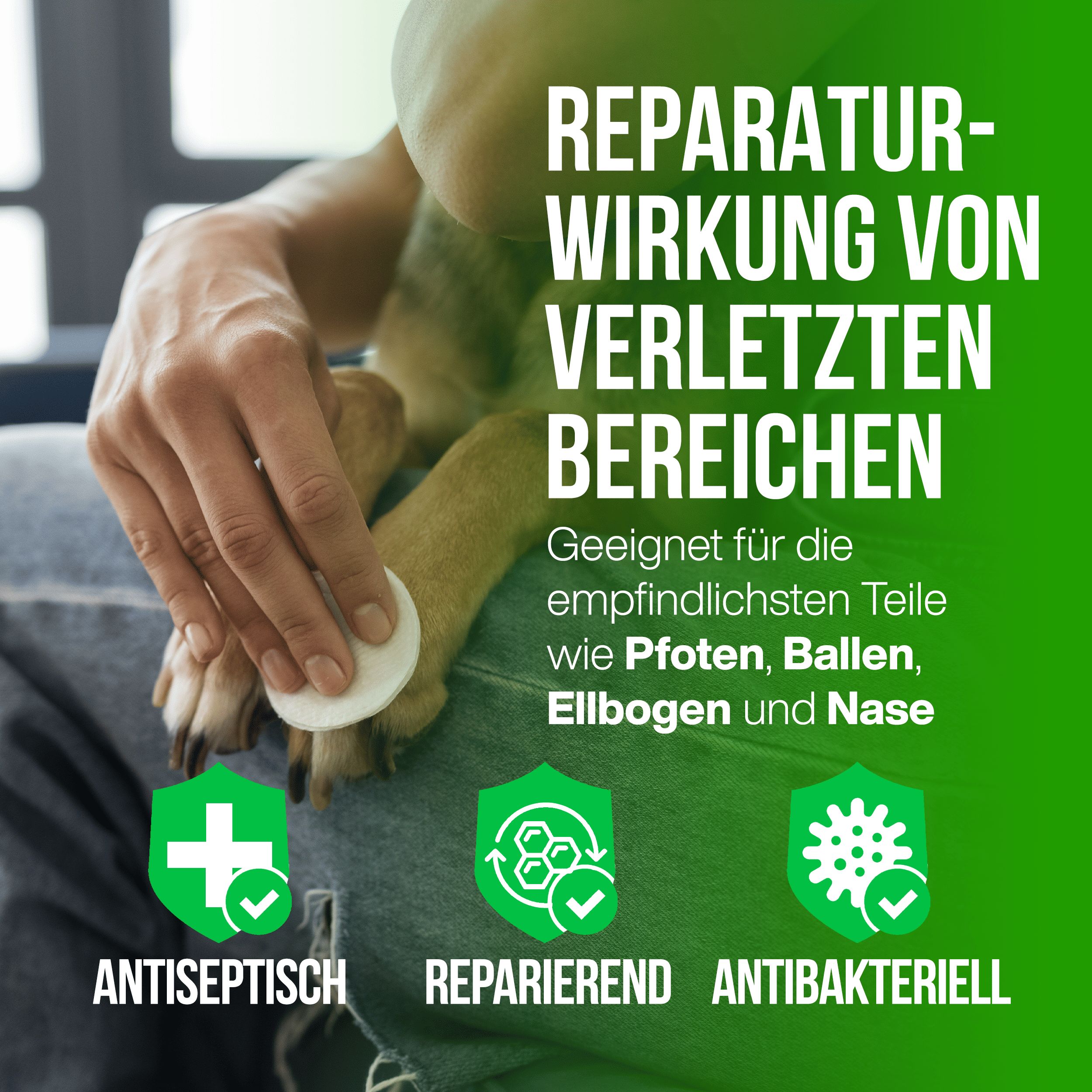 LA.GA Petbalm Pfotenbalsam und Nasenpflege für Hunde und Katzen