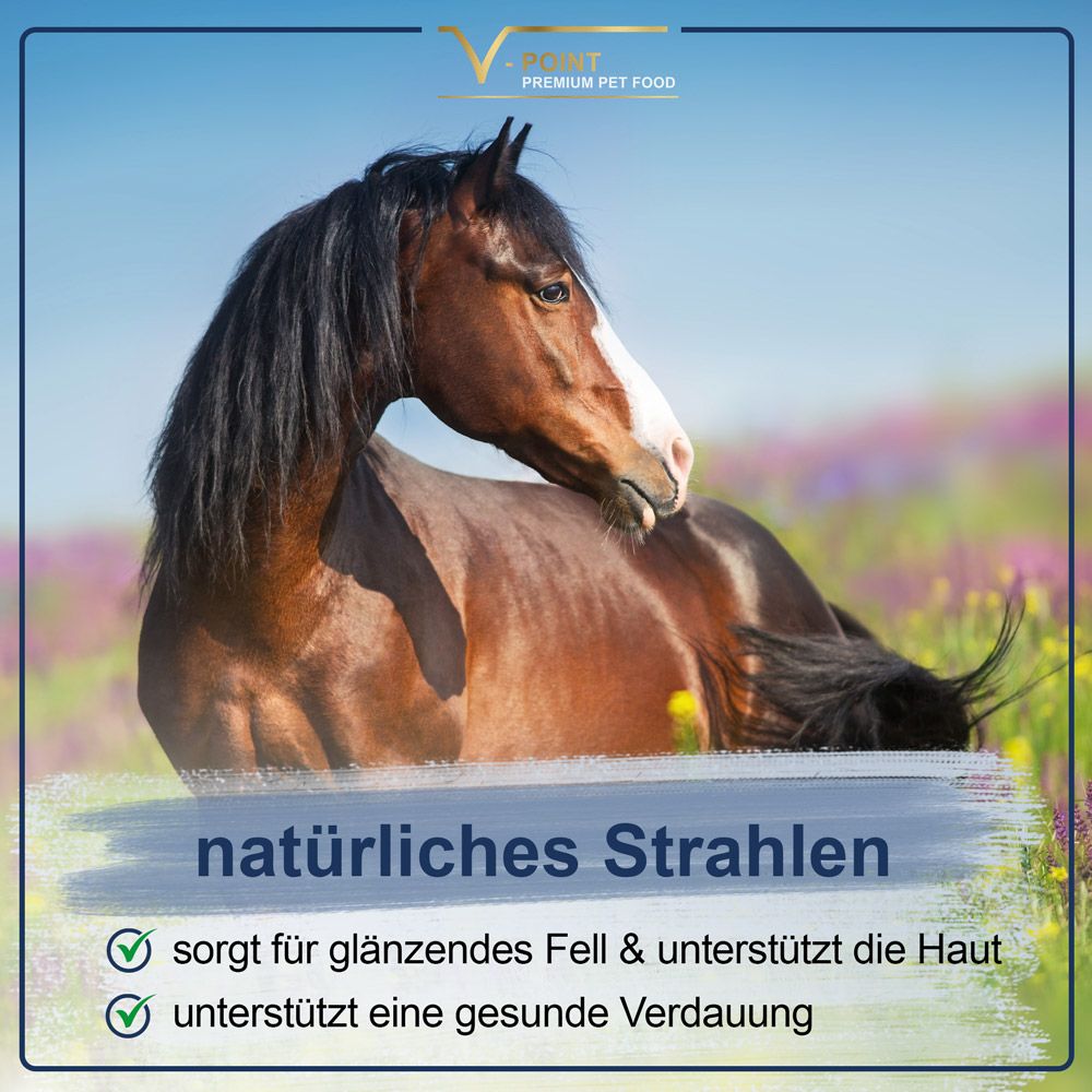Pferd auf einer Wiese. Text: Natürliches Strahlen. Sorgt für glänzendes Fell & unterstützt die Haut. Unterstützt eine gesunde Verdauung.