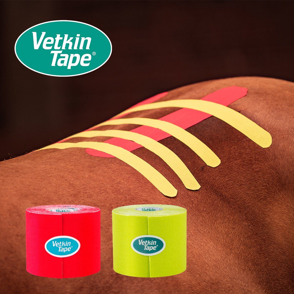 VetkinTape, Kinesiotape für Pferde und Hunde