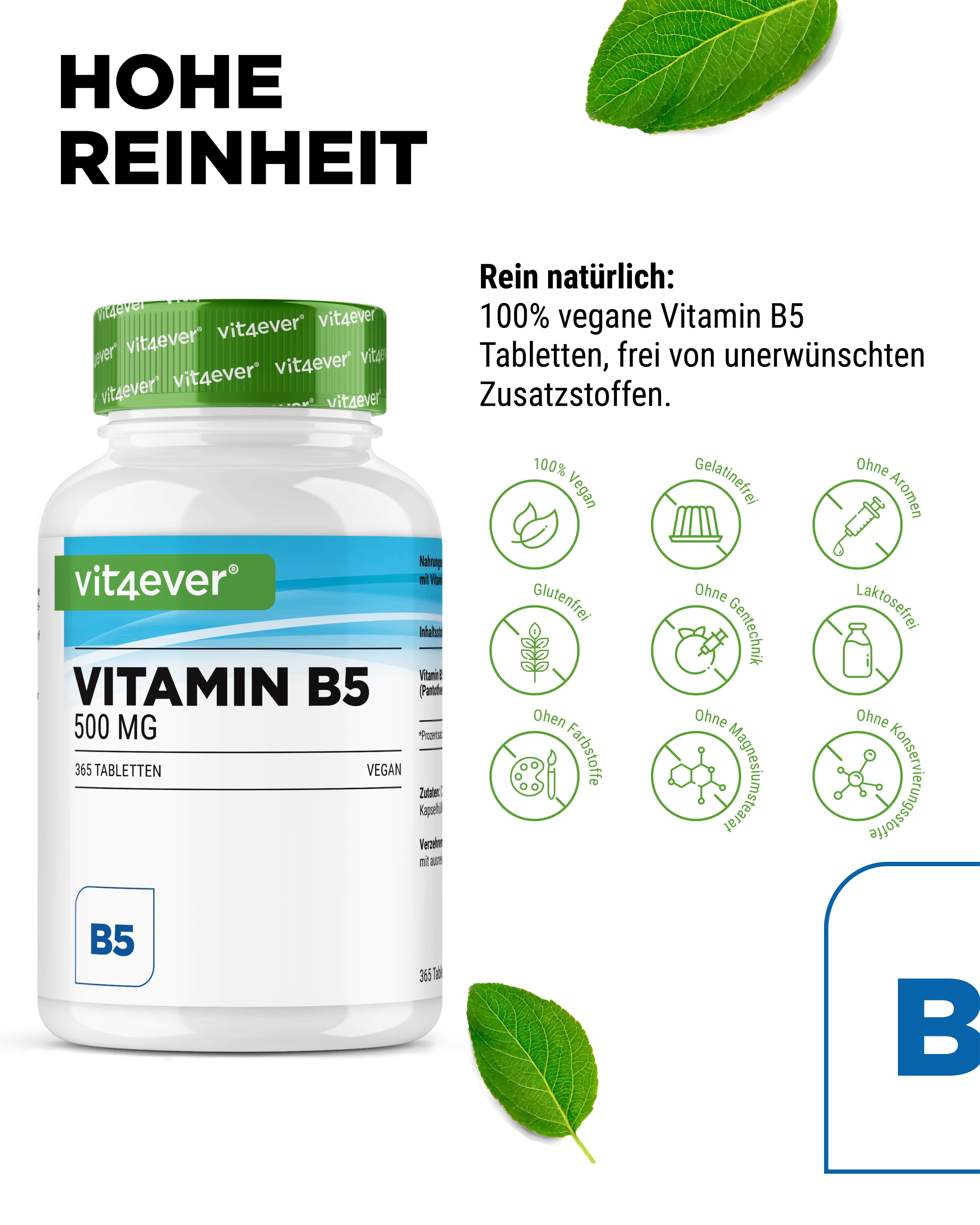 Produktflasche mit Text und Icons. Text: Vitamin B5, 500 mg, 365 Tabletten. Vegan. Icons: vegan, glutenfrei, ohne Aromen.