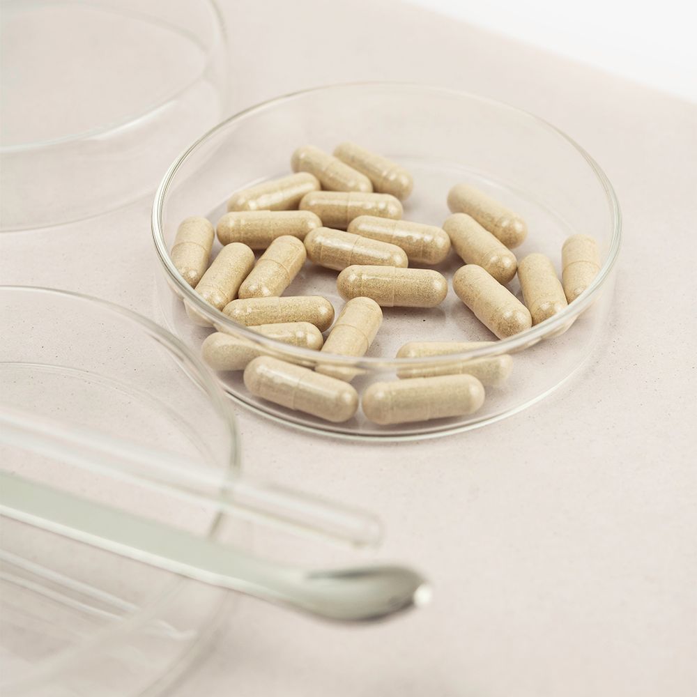 Kapseln in einer Petrischale. Runde, transparente Schale mit beigefarbenen Kapseln. Im Vordergrund weitere Schalen und Spatel.