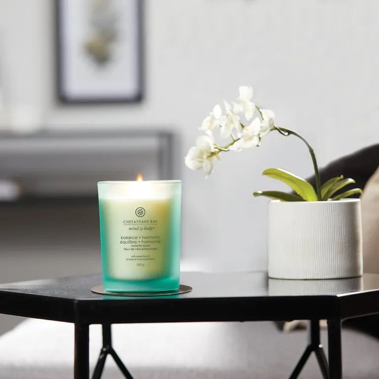 Brennende grüne Kerze auf Tisch. Aufschrift: Chesapeake Bay, balance + harmony. Neben Orchidee in Topf.