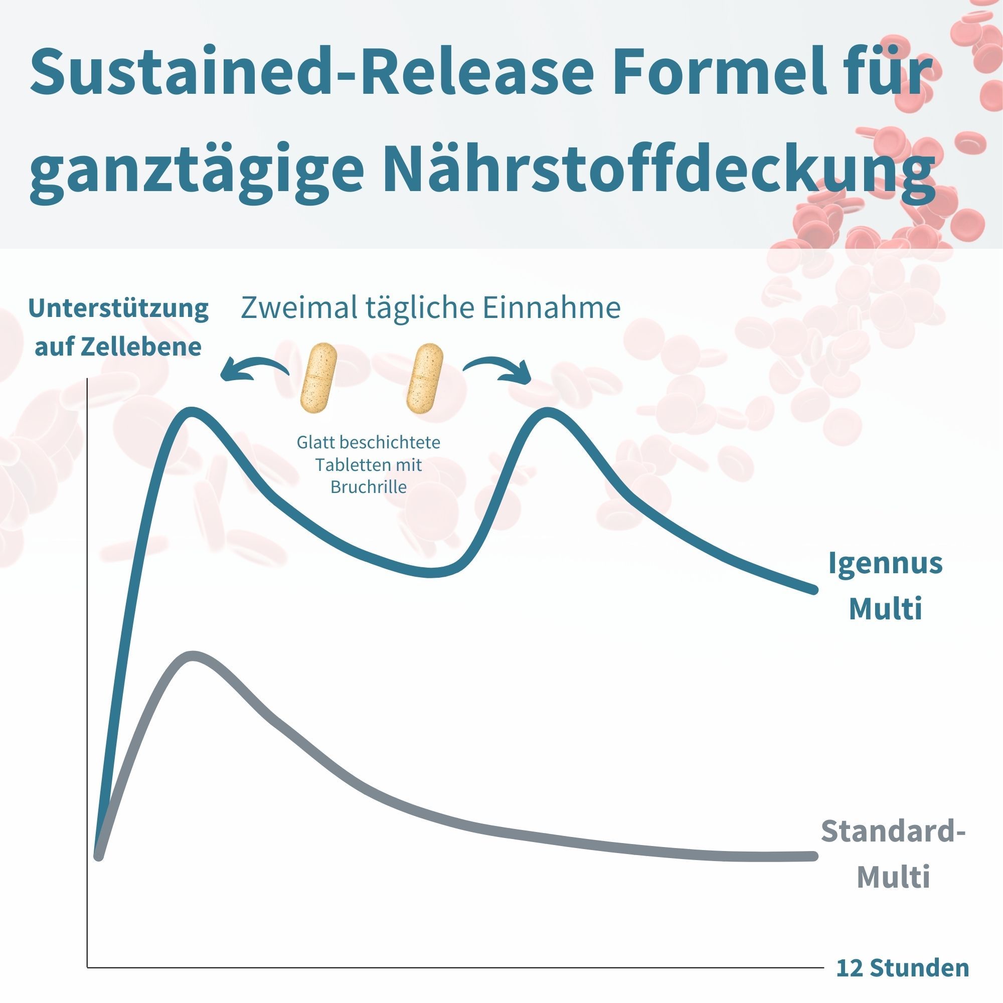 Grafik zeigt die anhaltende Freisetzungsformel von Multivitaminen im Vergleich zu Standard-Multivitaminen über 12 Stunden.