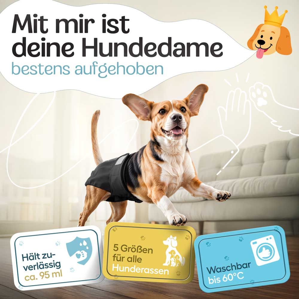 Hündchen mit schwarzer Windel. Text: Hält zuverl. ca. 95 ml, 5 Größen für alle Hunderassen, Waschbar bis 60°C.