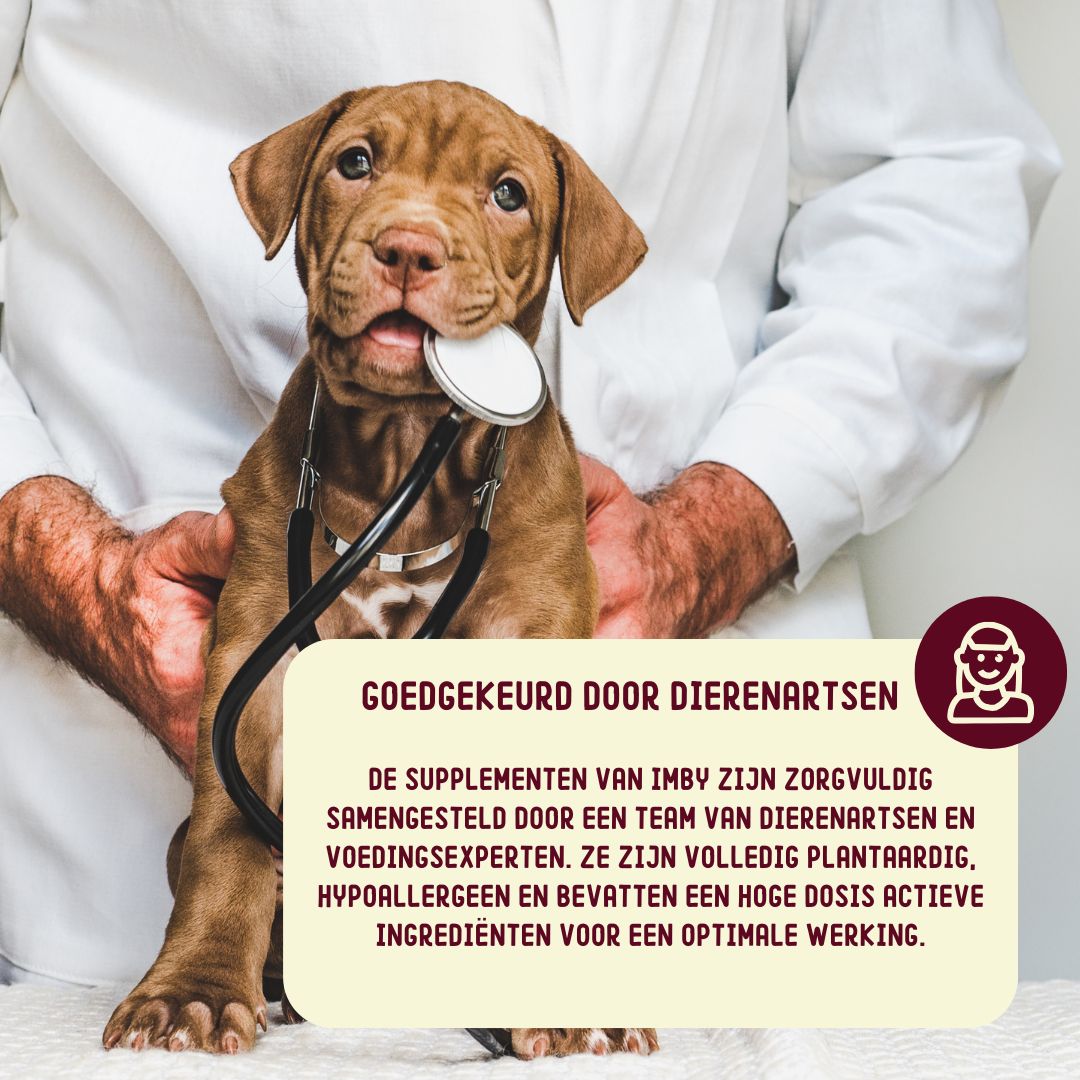 Imby 'Less Stress' Dose mit 60 Leckerlis bei Stress und Angst für Hunde.