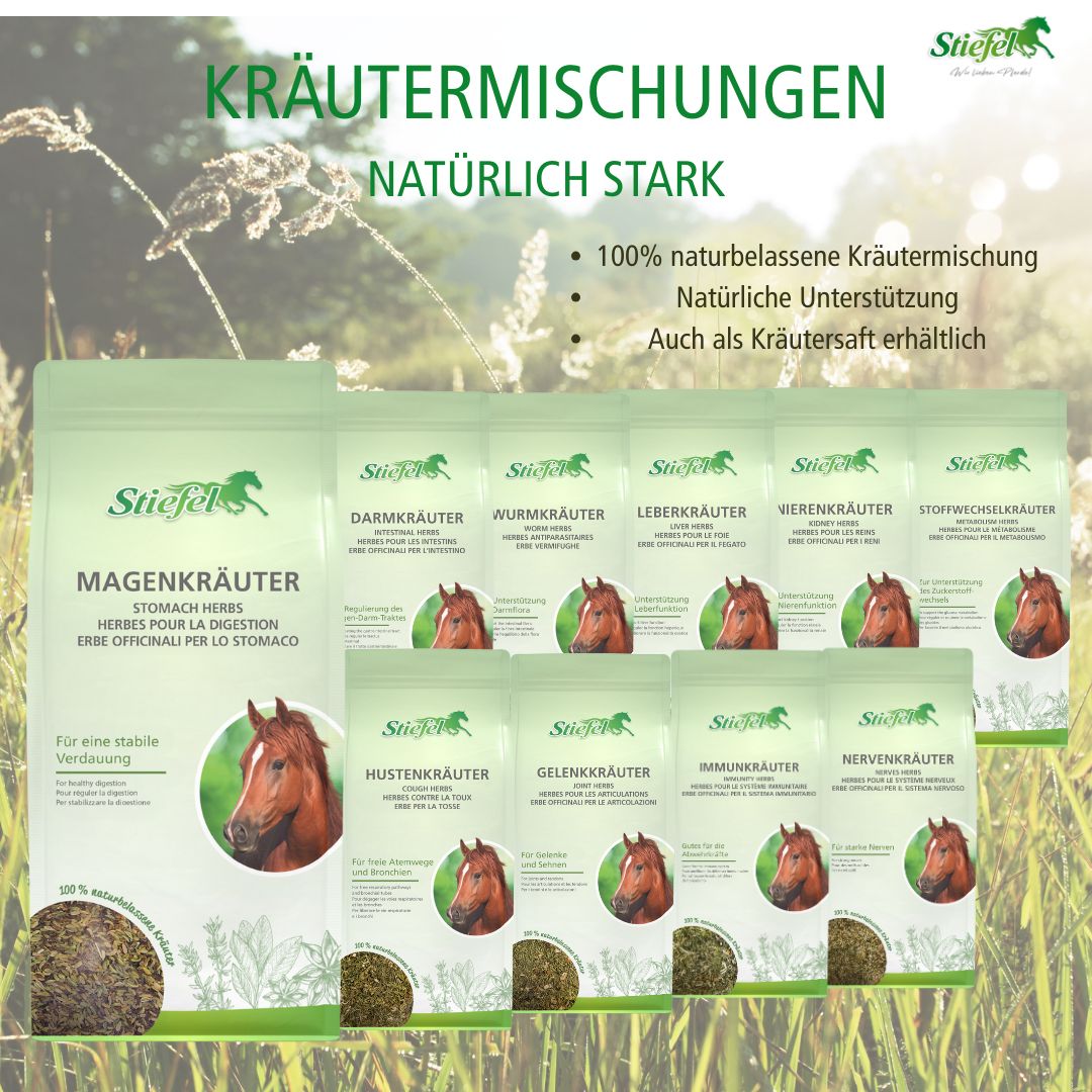 Stiefel Kräutermischungen. Magen-, Wurm-, Leber-, Nieren-, Stoffwechsel-, Husten-, Gelenk-, Immun- und Nervenkräuter. Verpackung mit Kräutern und Pferdekopf.