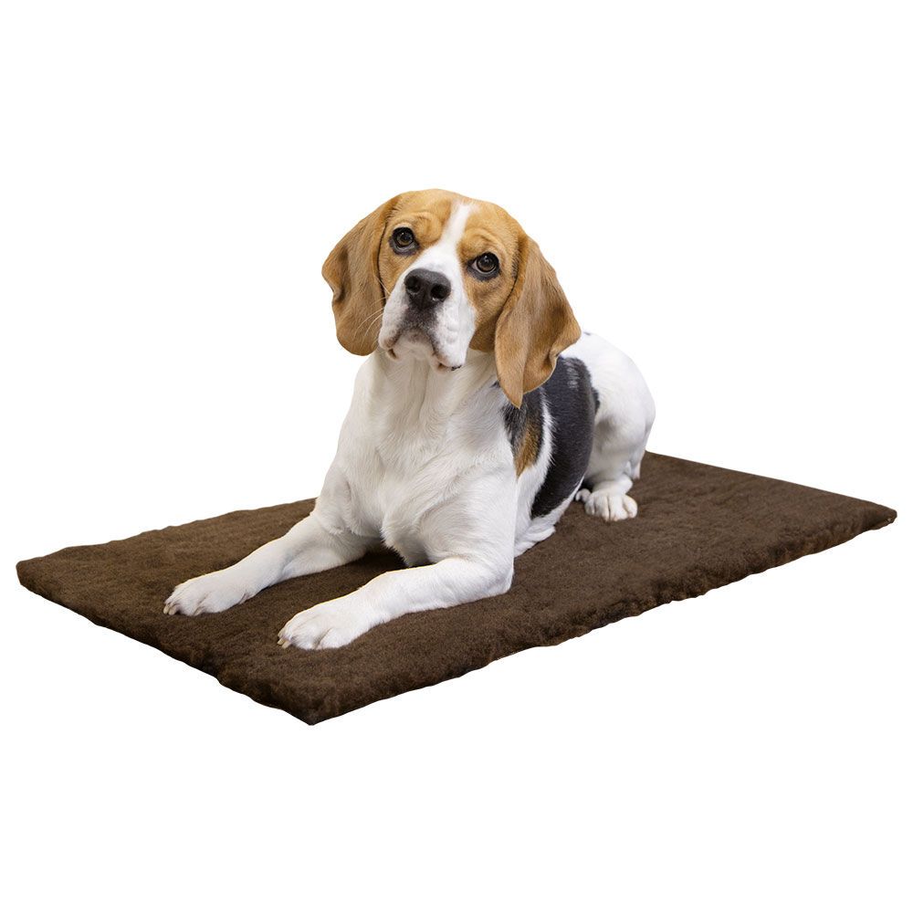 Schecker Hundedecke - DRYPLACE Gesundheitsdecke - von Medizinern entwickelt