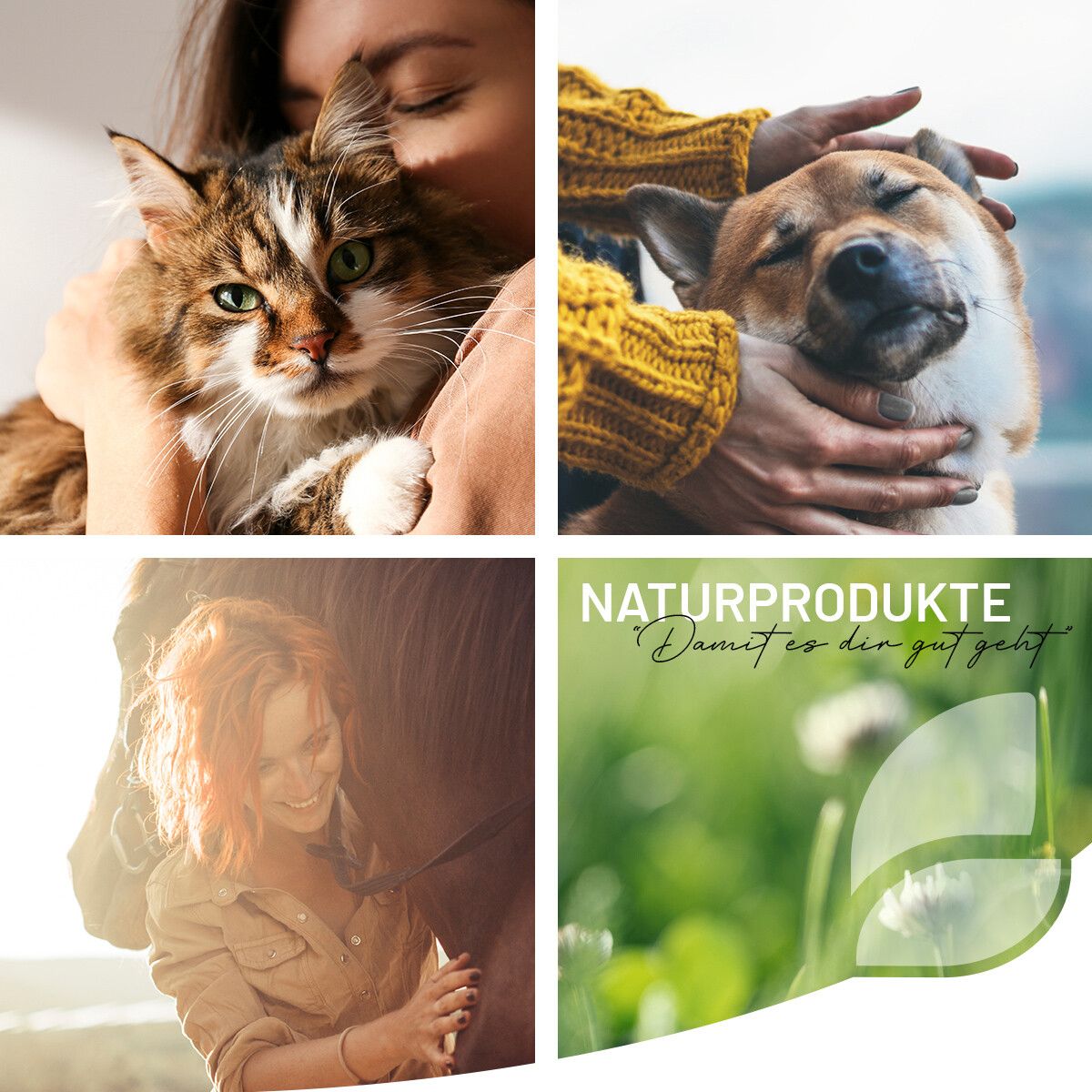 Collage mit Menschen und Tieren. Katze, Hund und Pferd. Text: Naturprodukte. Damit es den gut geht.