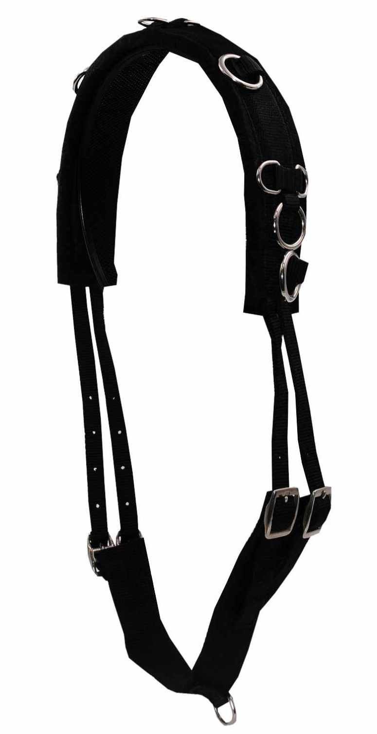 Schwarzer Longiergurt mit silberfarbenen Ringen und Schnallen. V-Form.