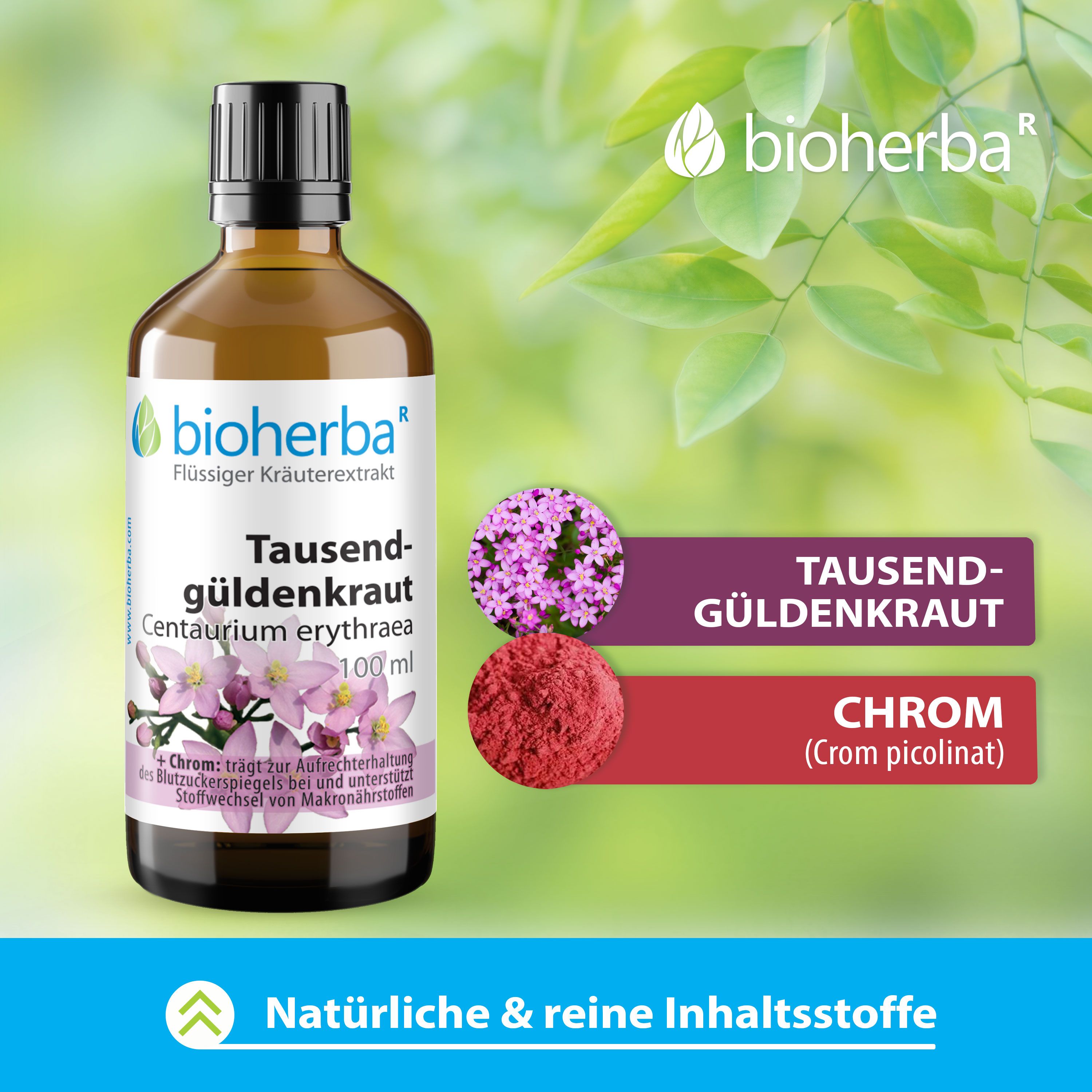 Bioherba Tausendgüldenkraut Tropfen, 100 ml Flasche. Mit Blüten und Chrom-Pulver. Aufschrift: Centaurium erythraea.