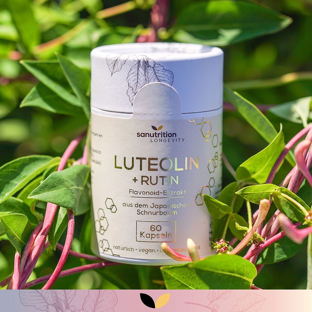 Sanutrition Luteolin & Rutin Kapseldose, 60 Kapseln, umgeben von grünen Blättern.