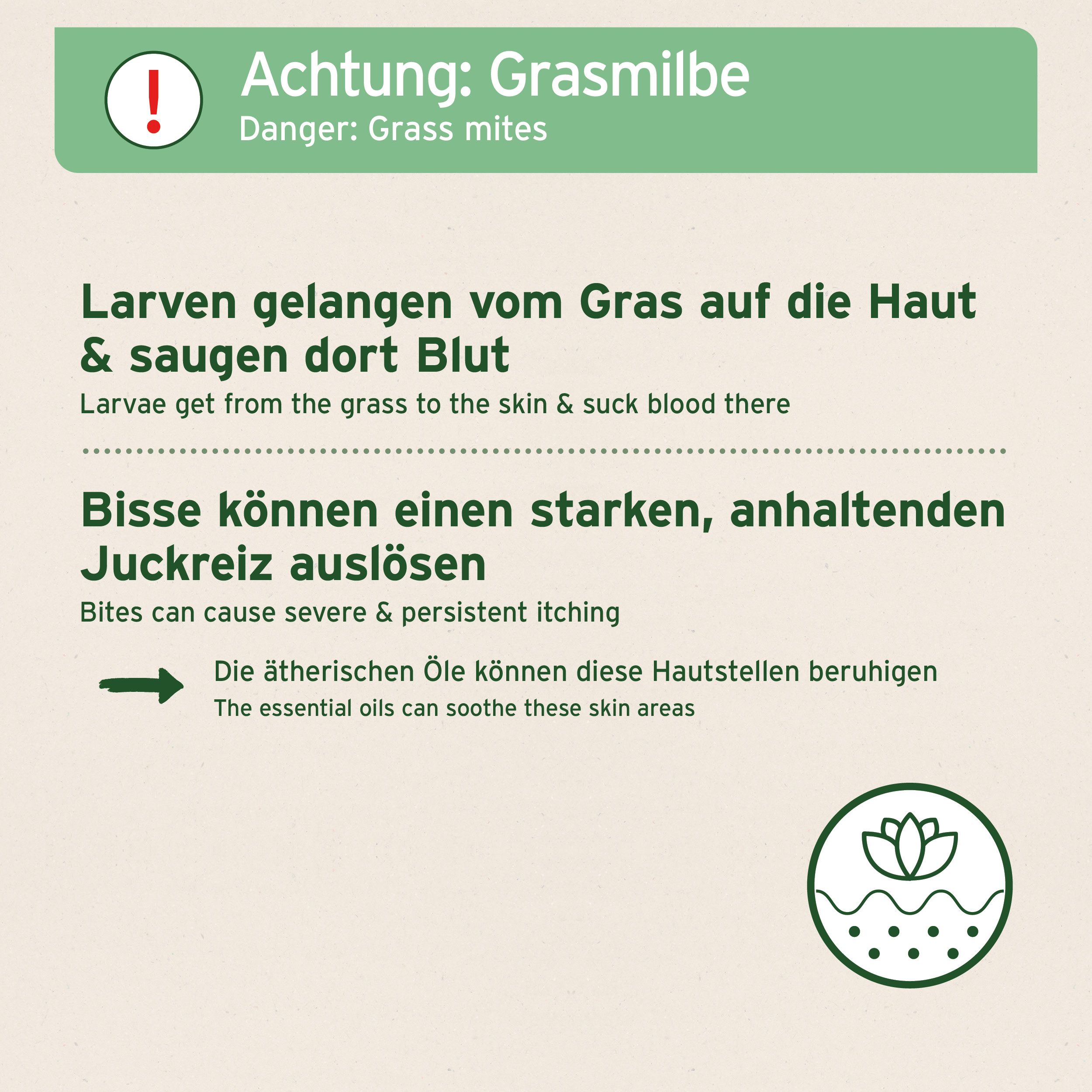 AniForte Grasmilben-EX Spray für Hunde