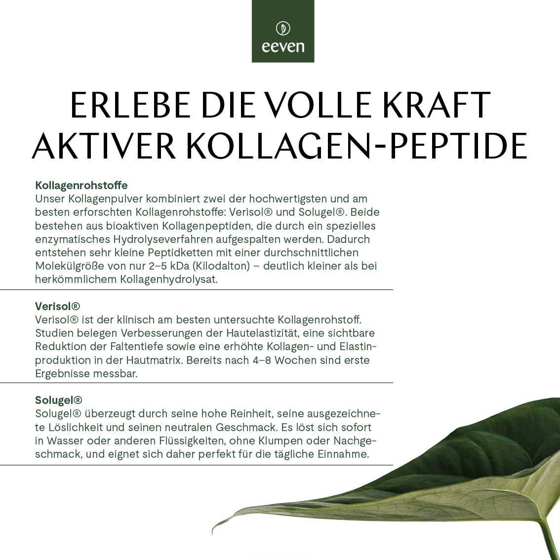 Text über Kollagenrohstoffe: Verisol® und Solugel®. Beschreibt Vorteile und Eigenschaften. Marke: eeven.