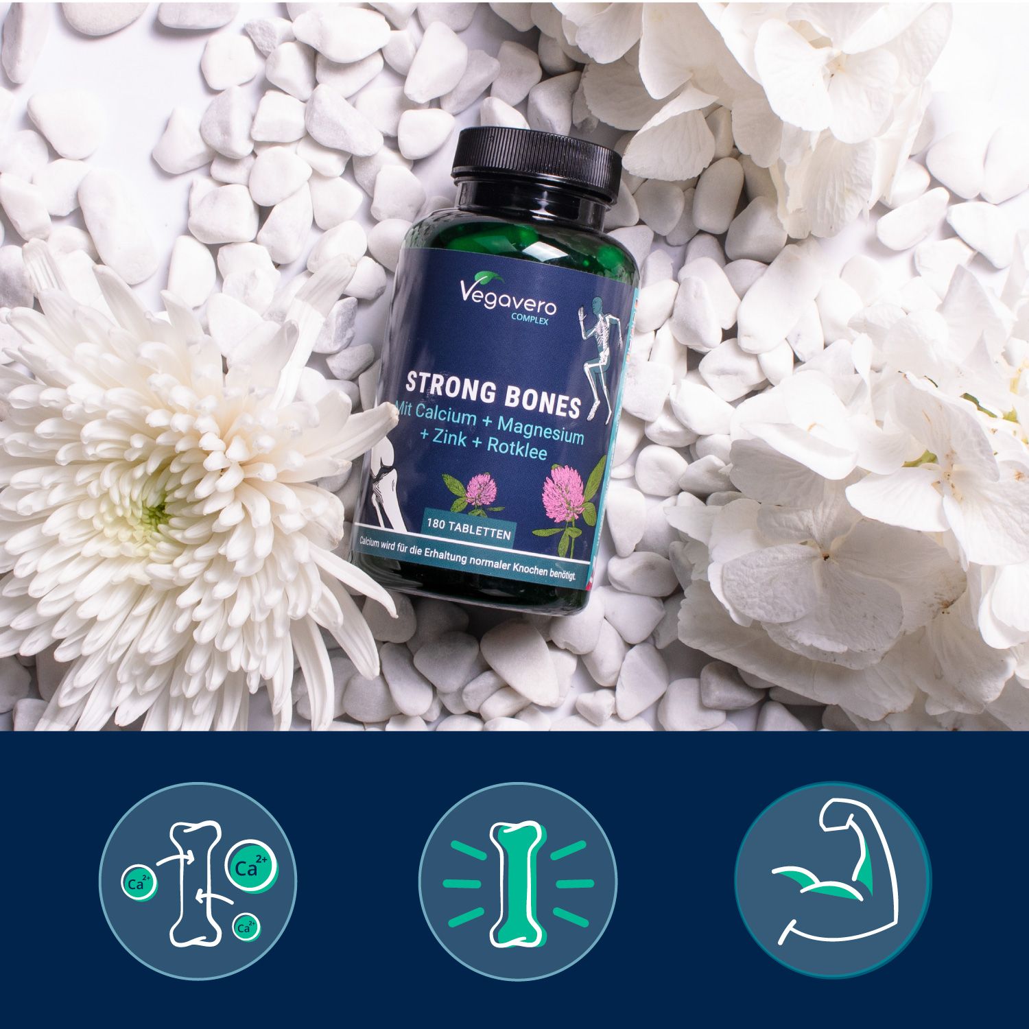Strong Bones Flasche auf weißen Steinen, umgeben von weißen Blüten. Logo Vegavaro. 180 Tabletten. Illustrationen von Knochen.
