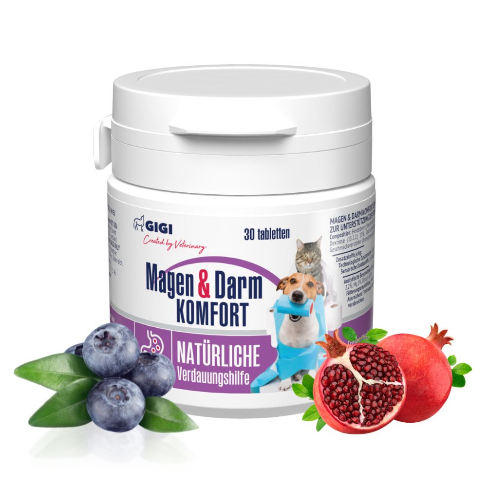 Weiße Tabletten-Dose mit Aufschrift Magen & Darm Komfort. Abgebildet sind Blaubeeren, Granatapfel und ein Hund.