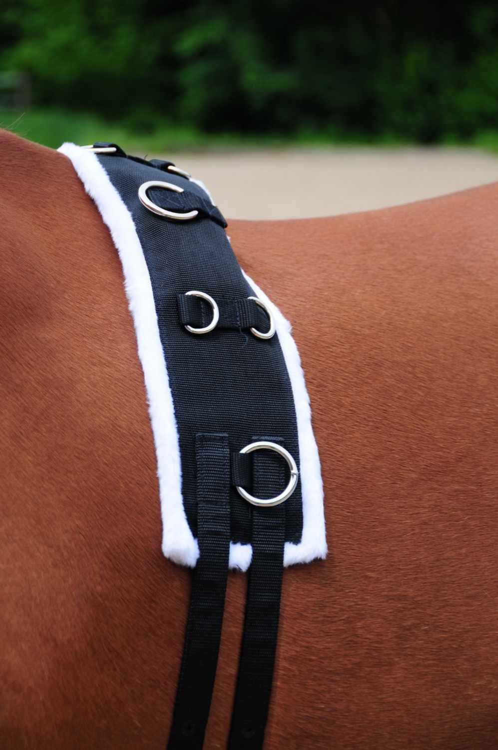 Schwarzer Longiergurt mit weißen Rändern und Metallringen. Auf dem Pferderücken platziert.