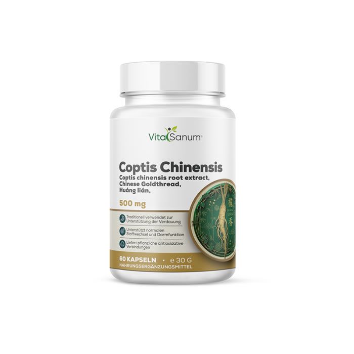 Weiße Flasche mit Kapseln. Aufschrift: VitaSanum, Coptis Chinensis, 500 mg, 60 Kapseln.