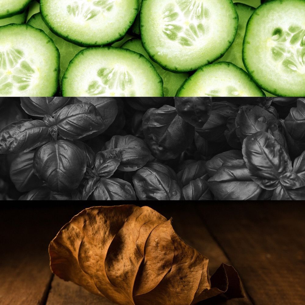 Drei horizontale Streifen: Gurkenscheiben, Basilikumblätter, braunes Blatt auf Holz.
