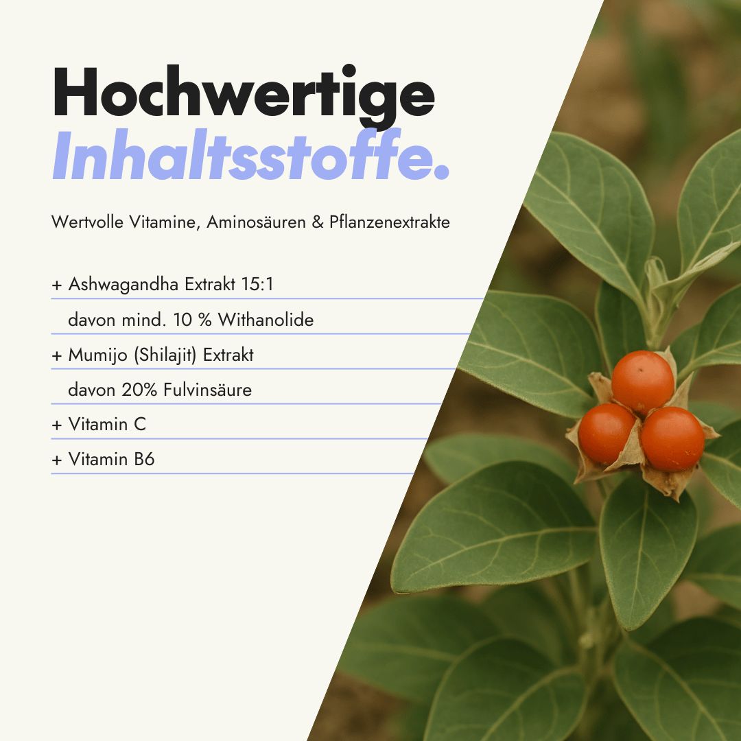 Nahaufnahme von Pflanzen mit roten Beeren. Text: Hochwertige Inhaltsstoffe. Ashwagandha Extrakt, Mumijo Extrakt, Vitamin C, Vitamin B6.