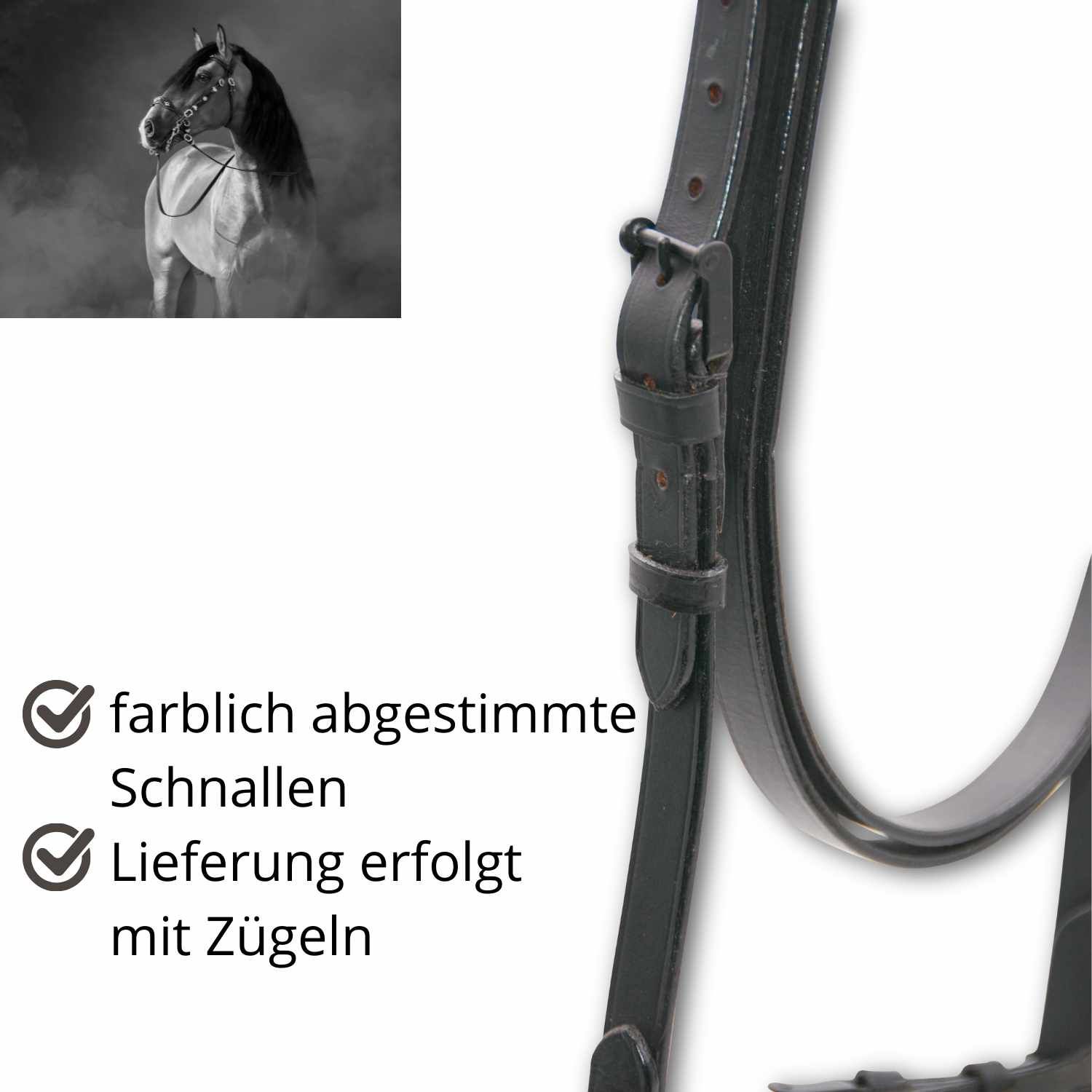 Schwarze Trense mit farblich abgestimmten Schnallen. Lieferung mit Zügeln. Im Hintergrund ein Pferd.