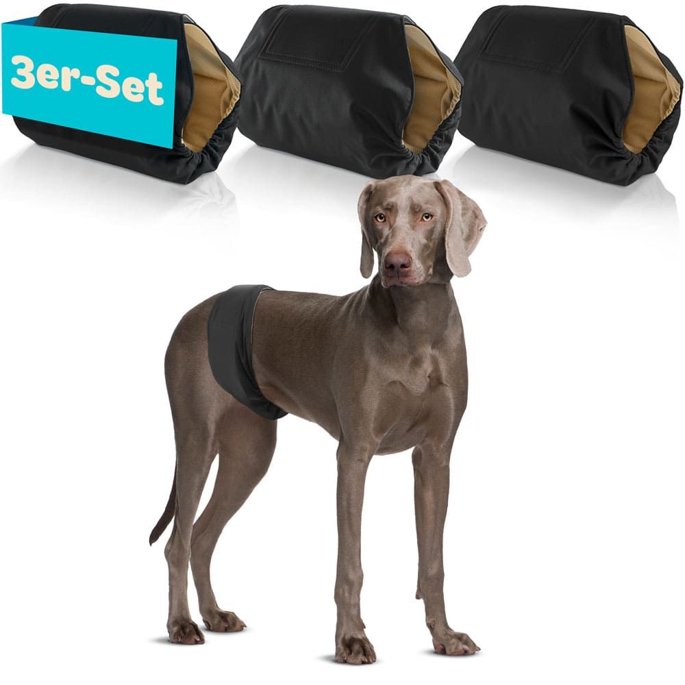 Drei schwarze Hundewindeln. Hund trägt eine. Text: 3er-Set. Hund steht.