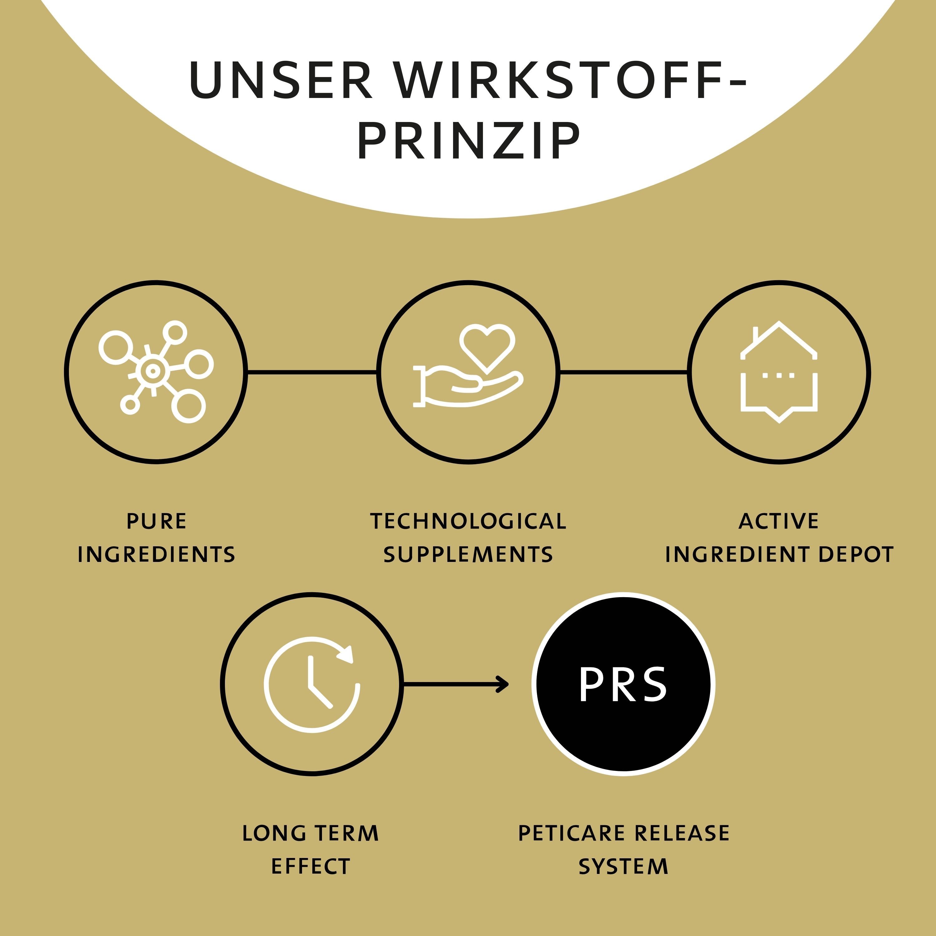 Grafische Darstellung des Wirkstoffprinzips. Kreise mit Text: Pure Ingredients, Technological Supplements, Active Ingredient Depot.