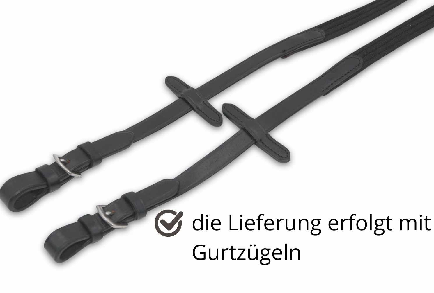Paar schwarze Gurtzügel mit silbernen Schnallen. Text: die Lieferung erfolgt mit Gurtzügeln.