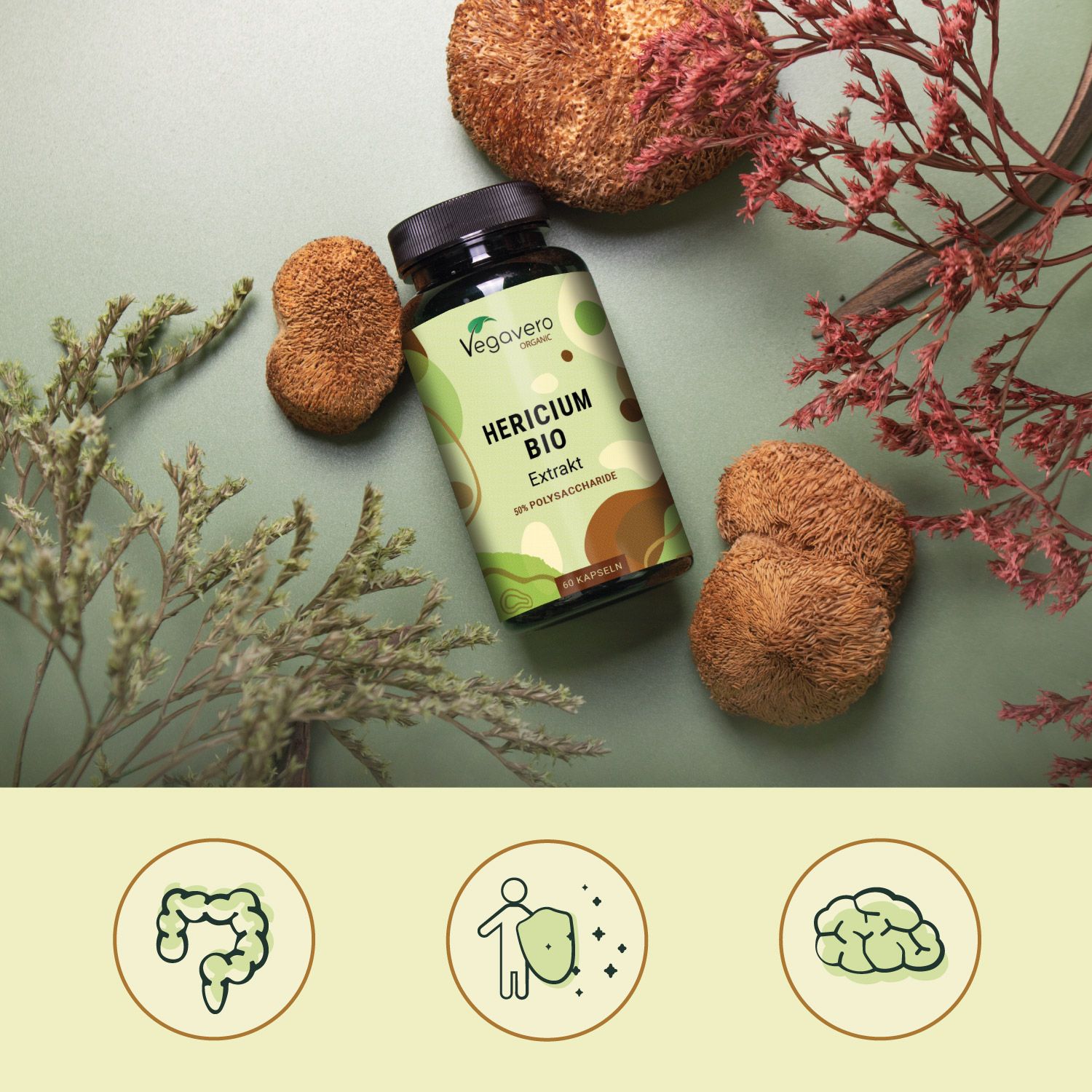 Grüne Flasche mit schwarzem Deckel. Aufschrift: Hericium BIO Extrakt, 50% Polysaccharide. 60 Kapseln. Mit getrockneten Pilzen und Pflanzen.