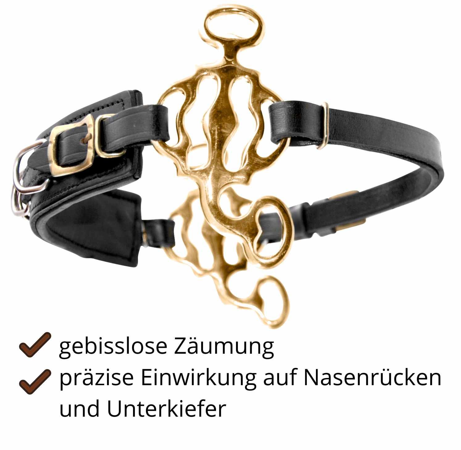 Gebisslose Zäumung mit goldfarbenem Metallteil und schwarzen Lederriemen. Präzise Einwirkung auf Nasenrücken und Unterkiefer.