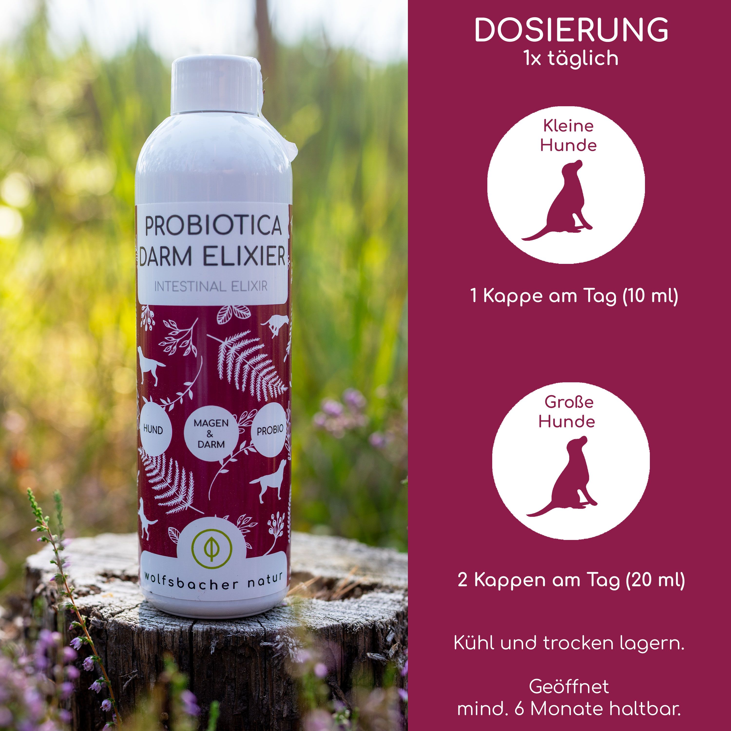 Flasche mit Etikett: Probiotica Darm Elixier. Dosierung: 1x täglich. Kleine Hunde: 1 Kappe (10 ml). Große Hunde: 2 Kappen (20 ml).