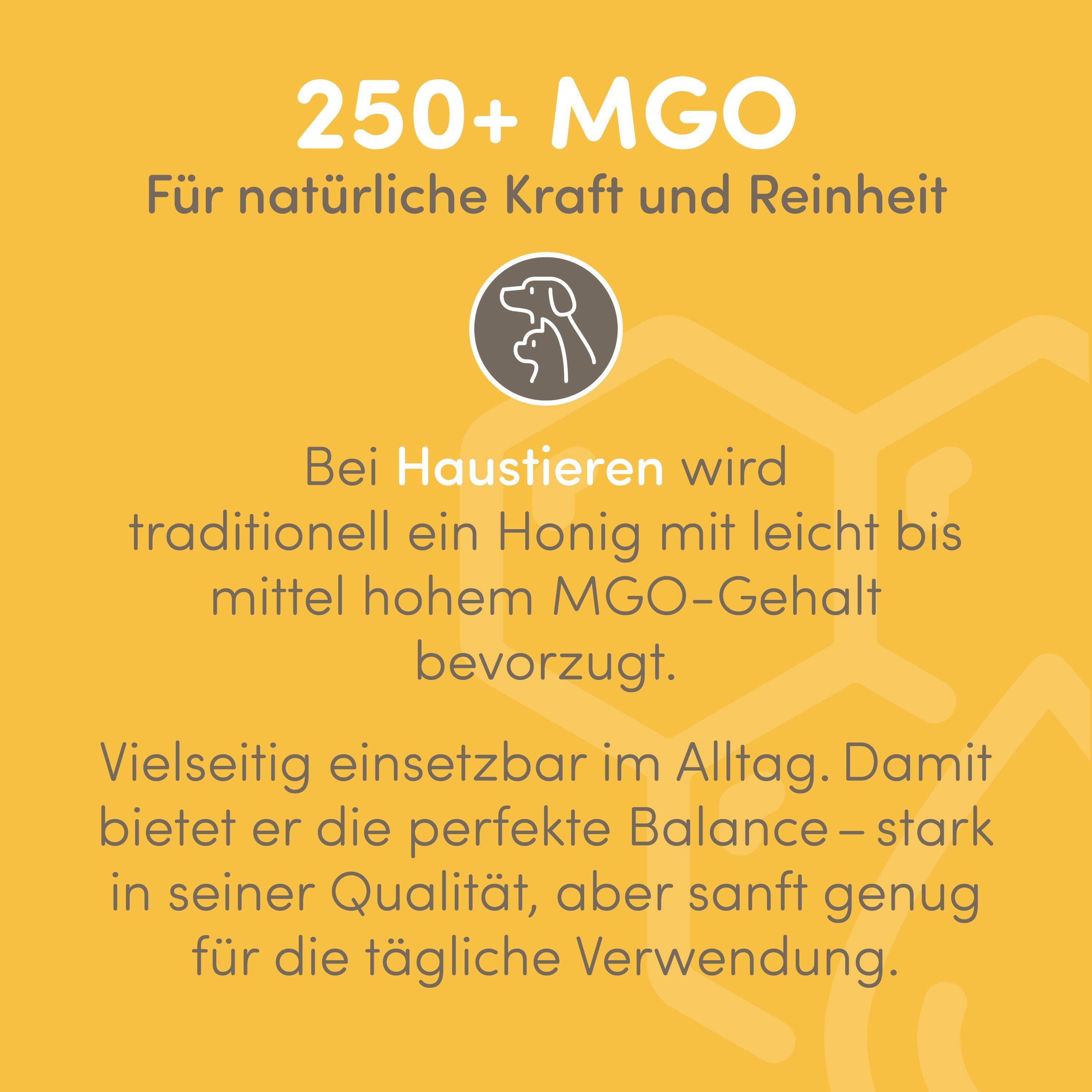 Gelber Hintergrund mit Text: 250+ MGO, Für natürliche Kraft und Reinheit. Illustration von Hund und Katze. Text über Honig.