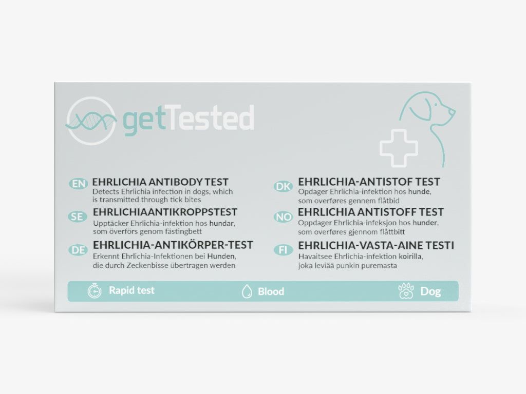 Verpackung für einen Ehrlichia-Antikörper-Test für Hunde. Enthält Text in mehreren Sprachen, Logo von getTested und eine Hunde-Illustration.