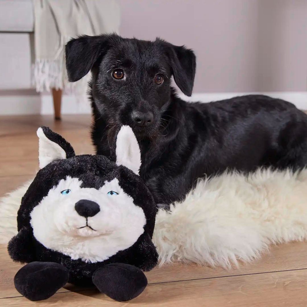 Wolters Plüschball Henry Husky