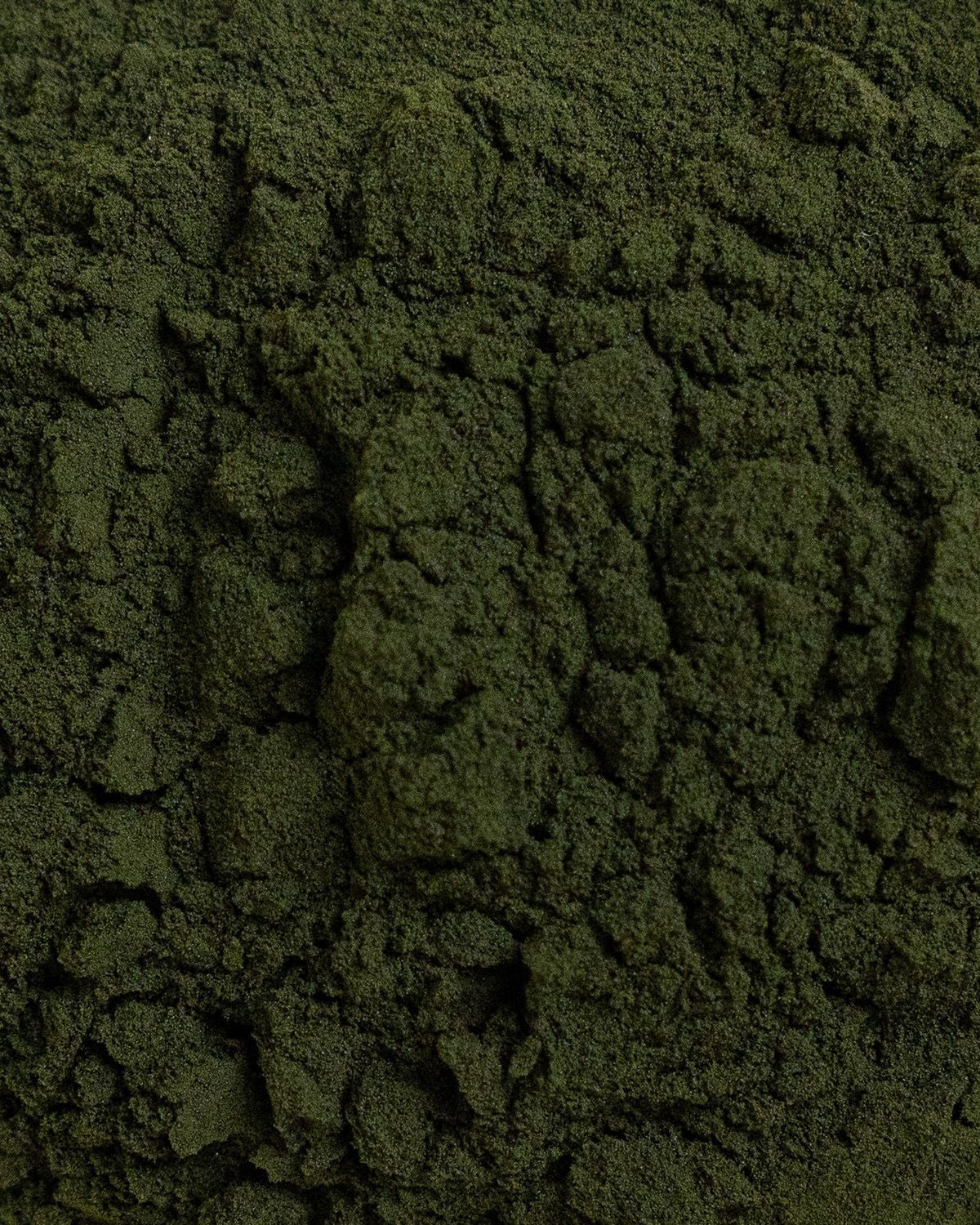 Nahaufnahme von grünem Chlorella-Pulver. Die Textur ist körnig und fein.