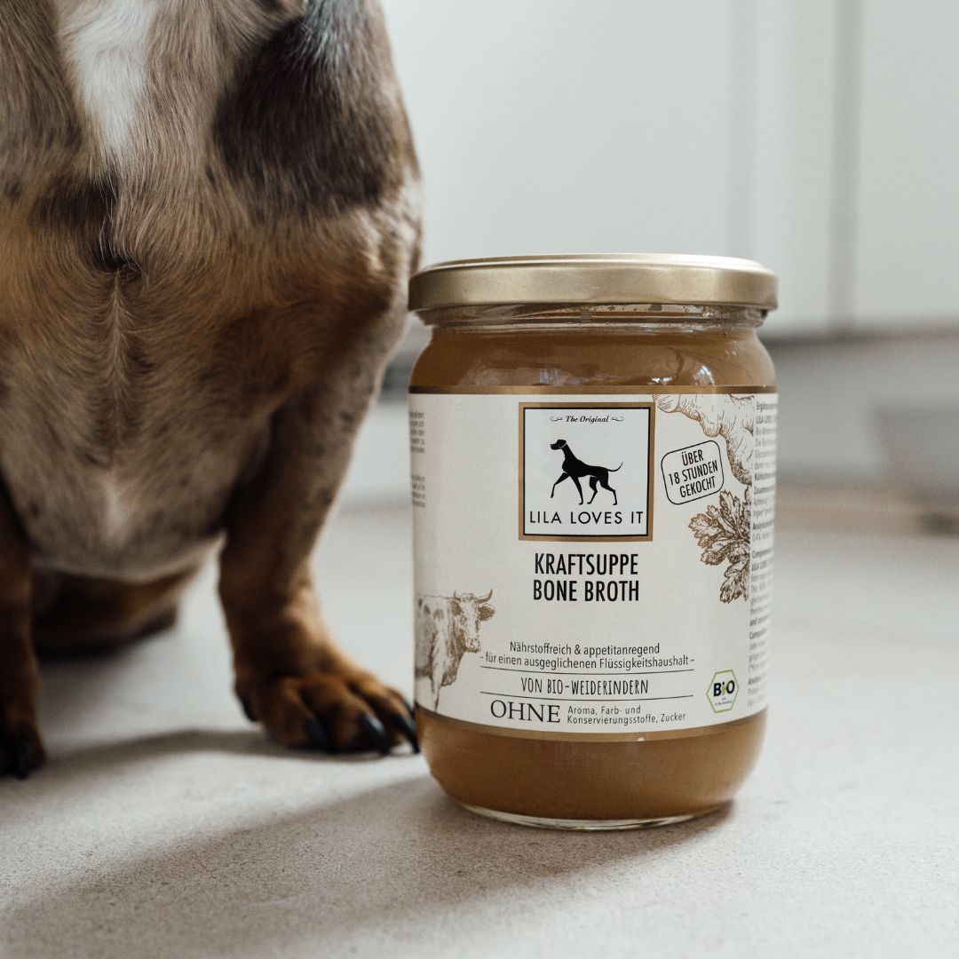 Bio-Kraftsuppe vom Rind - LILA LOVES IT