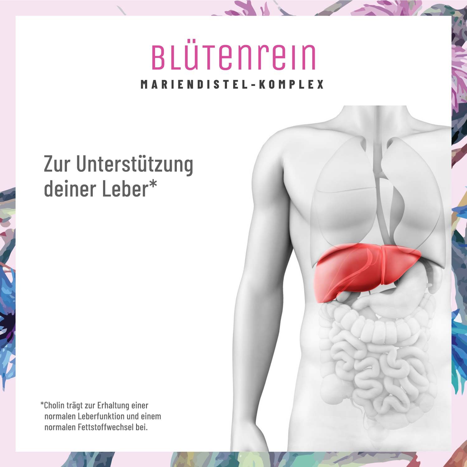 Komplex mit Mariendistel (Silymarin), Artischocke, Löwenzahn und Cholin - Blütenrein - NATURTREU®