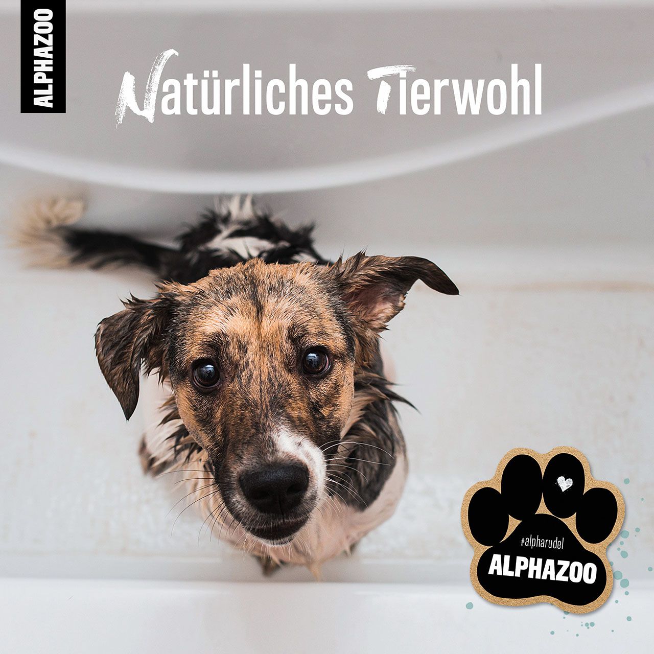 ALPHAZOO Repair Care Conditioner für Hunde & Katzen