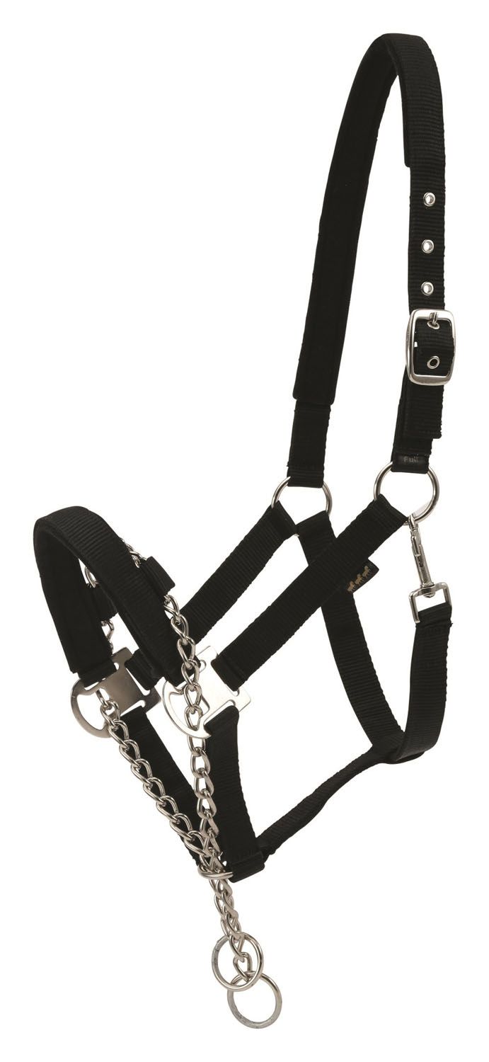 Schwarzer Halfter mit Kette. Metallkette und -beschläge. Verstellbare Riemen. Nahaufnahme.