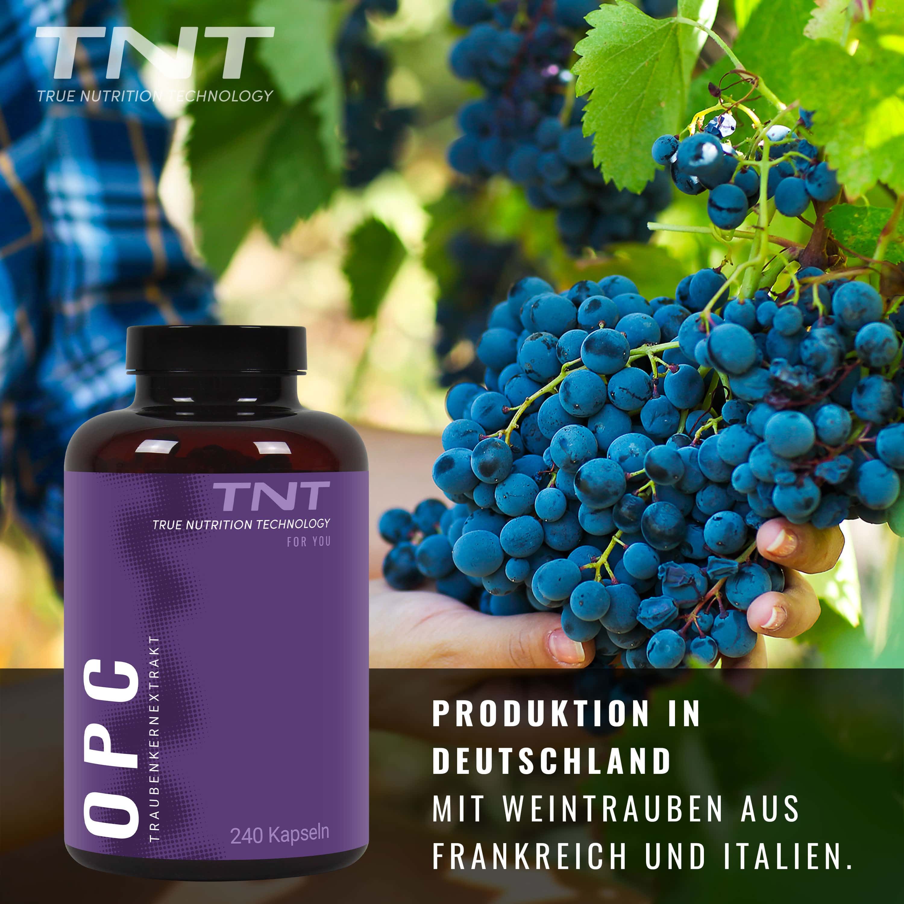 Eine lila Flasche mit der Aufschrift OPC, Traubenkernextrakt und TNT steht vor einem Hintergrund mit Weintrauben.
