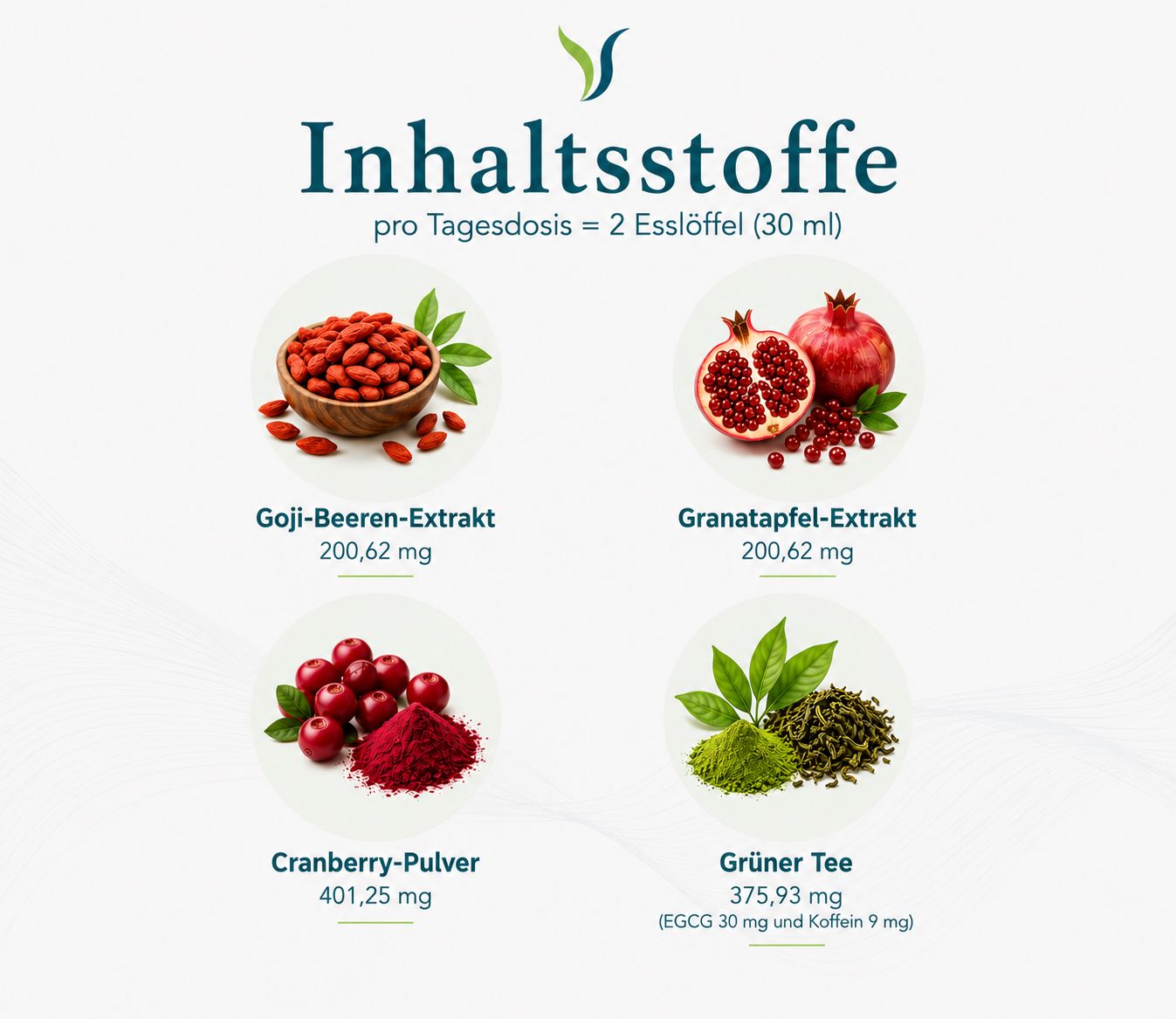 Vier Kreise mit Darstellungen von Goji-Beeren, Granatapfel, Cranberry und grünem Tee mit Mengenangaben.