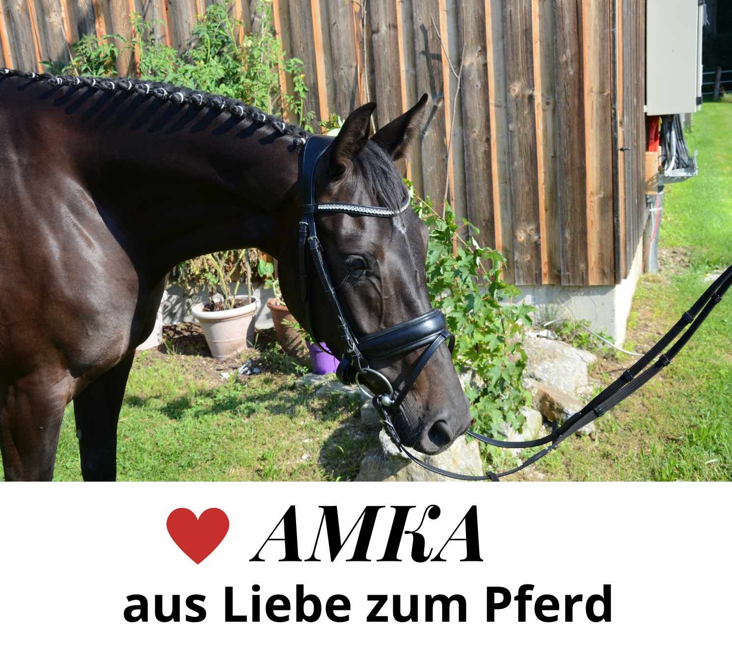 Pferd mit geflochtener Mähne, trägt Zaumzeug. Text: AMKA, aus Liebe zum Pferd.