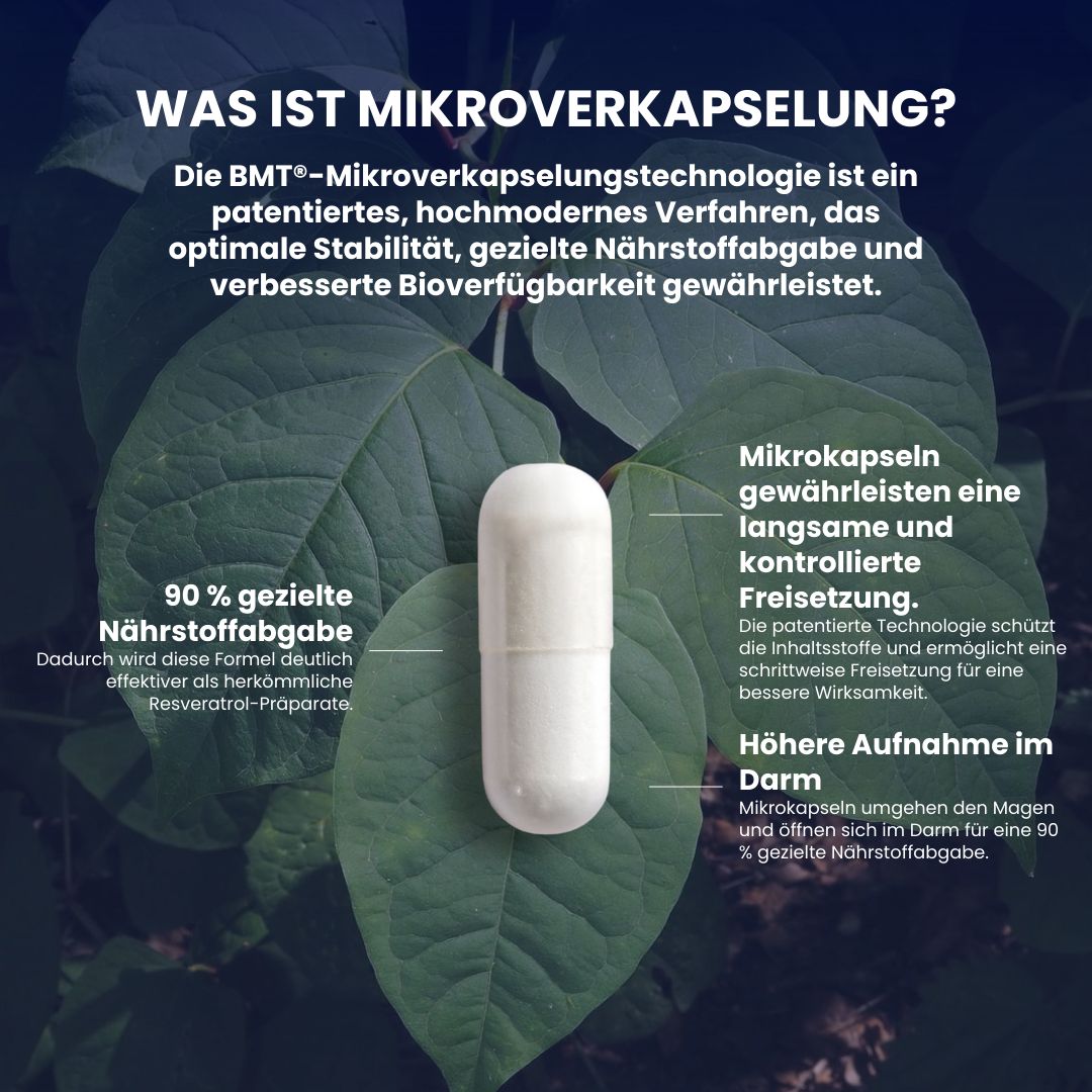 Biostile BMT Resveratrol Microencapsulation: Eine einzelne Kapsel auf großen grünen Blättern.