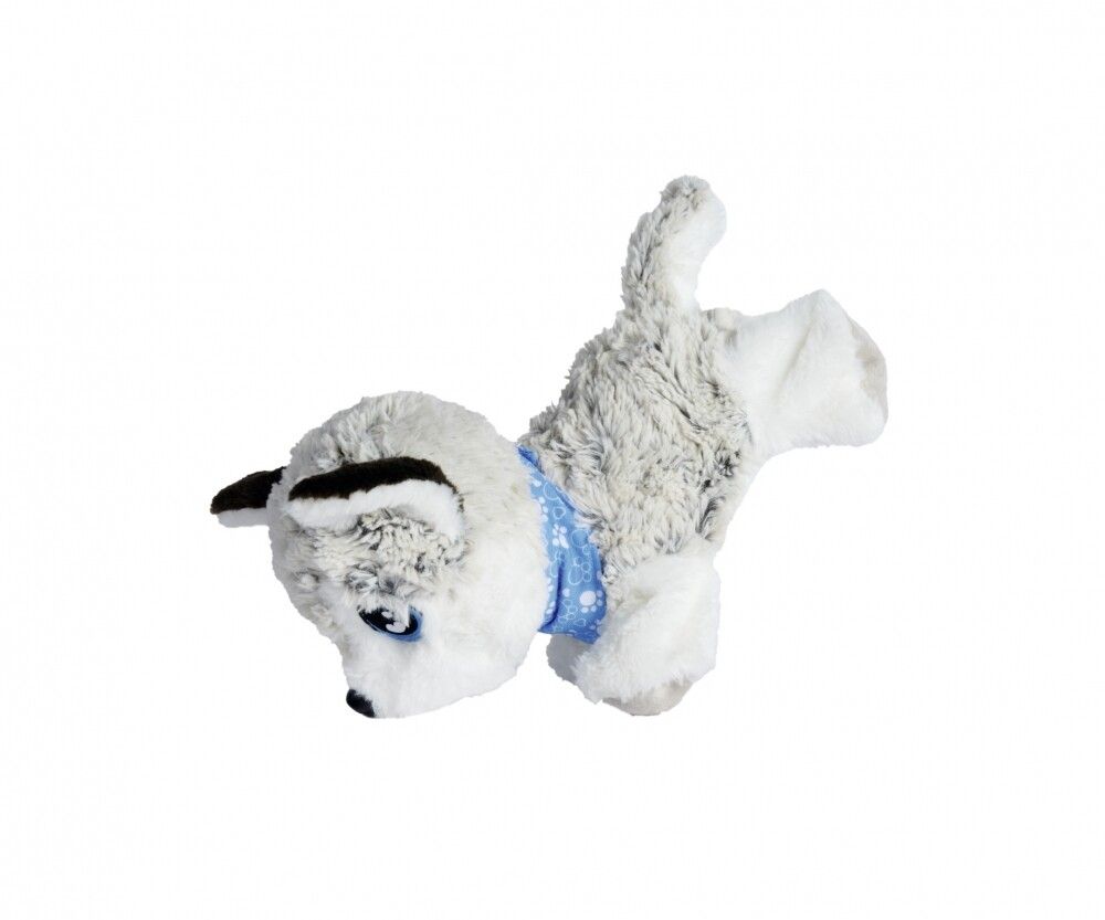 Plüschhund mit blauem Halstuch. Weiß-graues Fell, blaue Augen. Liegende Position, Kopf zur Seite.