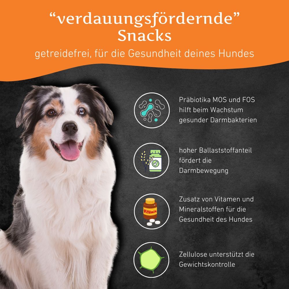 Hund mit Text über verdauungsfördernde Snacks. Enthält Informationen zu Inhaltsstoffen und Vorteilen für die Gesundheit.