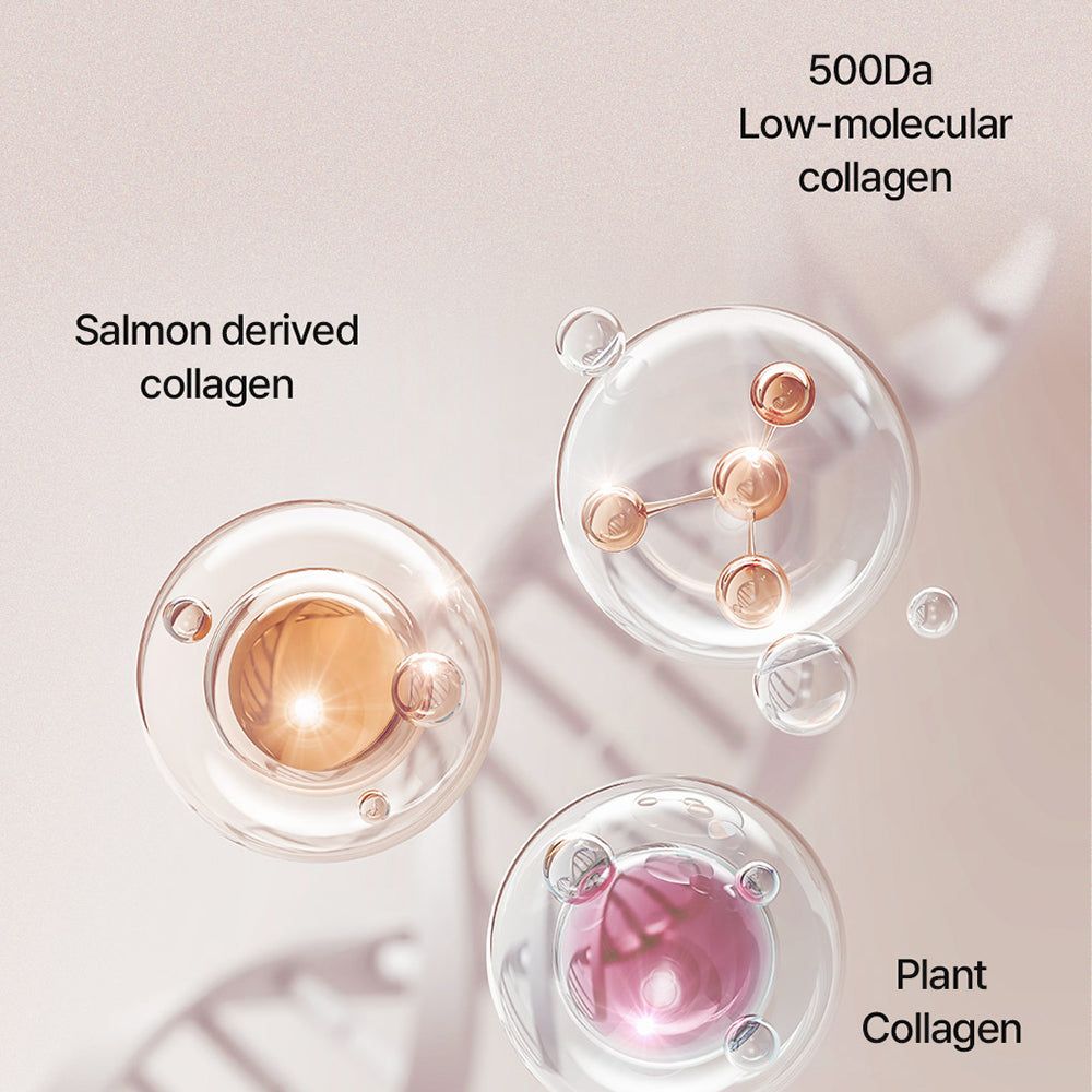 Drei transparente Kreise mit Inhalten: Lachs- und Pflanzenkollagen, sowie Moleküle. Text: 500Da Low-molecular collagen.