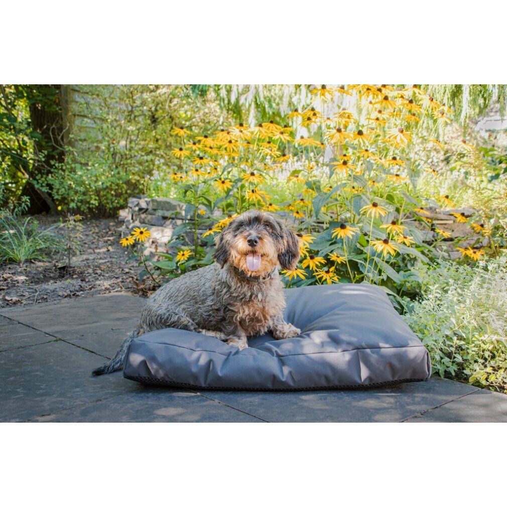 Let's Sleep Cushy Cloud Outdoor Hundebett xl Anthrazit