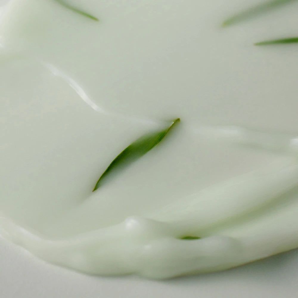 Nahaufnahme von weißer Creme mit grünen Blättern. Die Creme hat eine glatte Textur. Einige Blätter sind sichtbar.