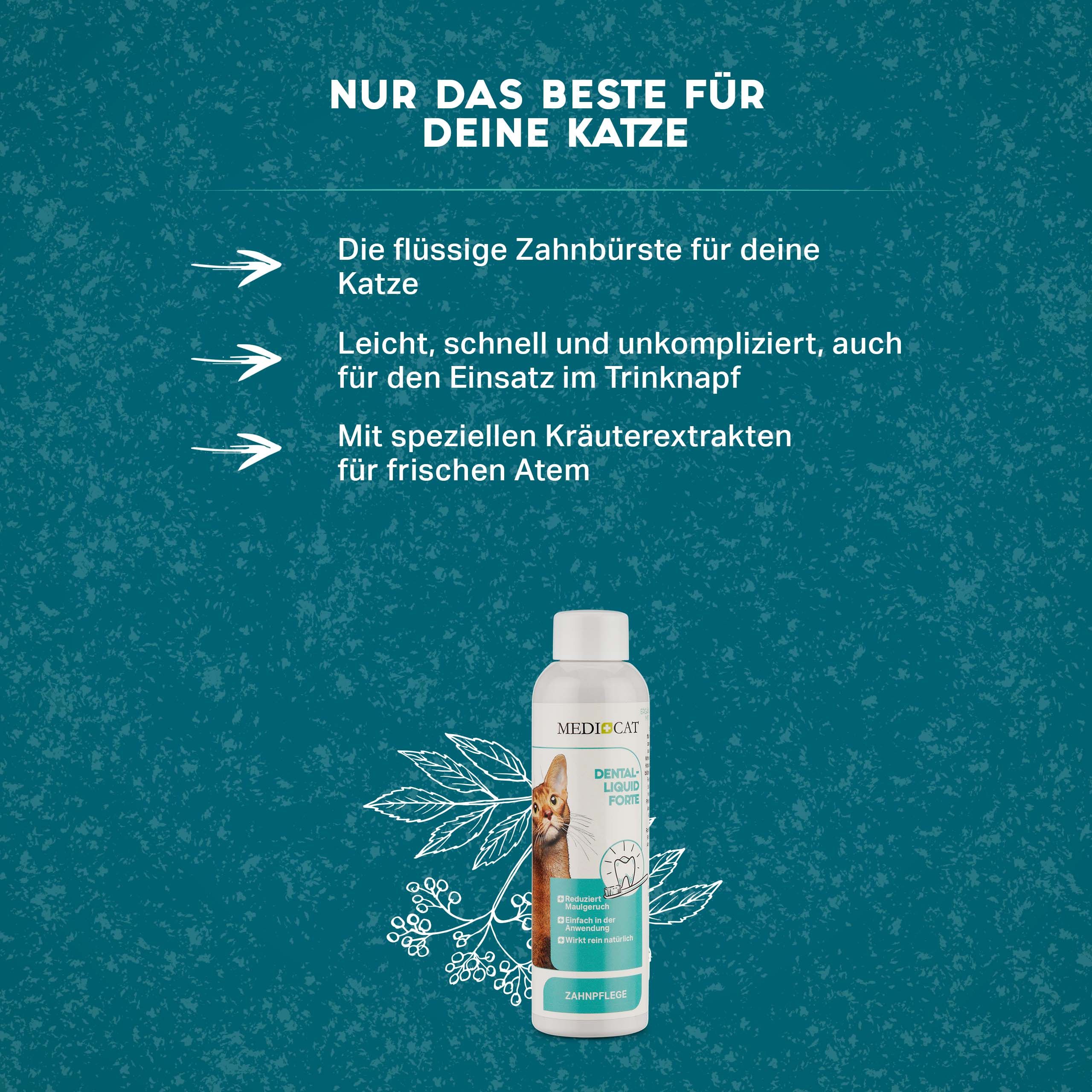 Blauer Hintergrund mit Text und Flasche MEDICAT Dental Liquid Forte. Text: Die flüssige Zahnbürste für deine Katze. Mit Kräuterextrakten.