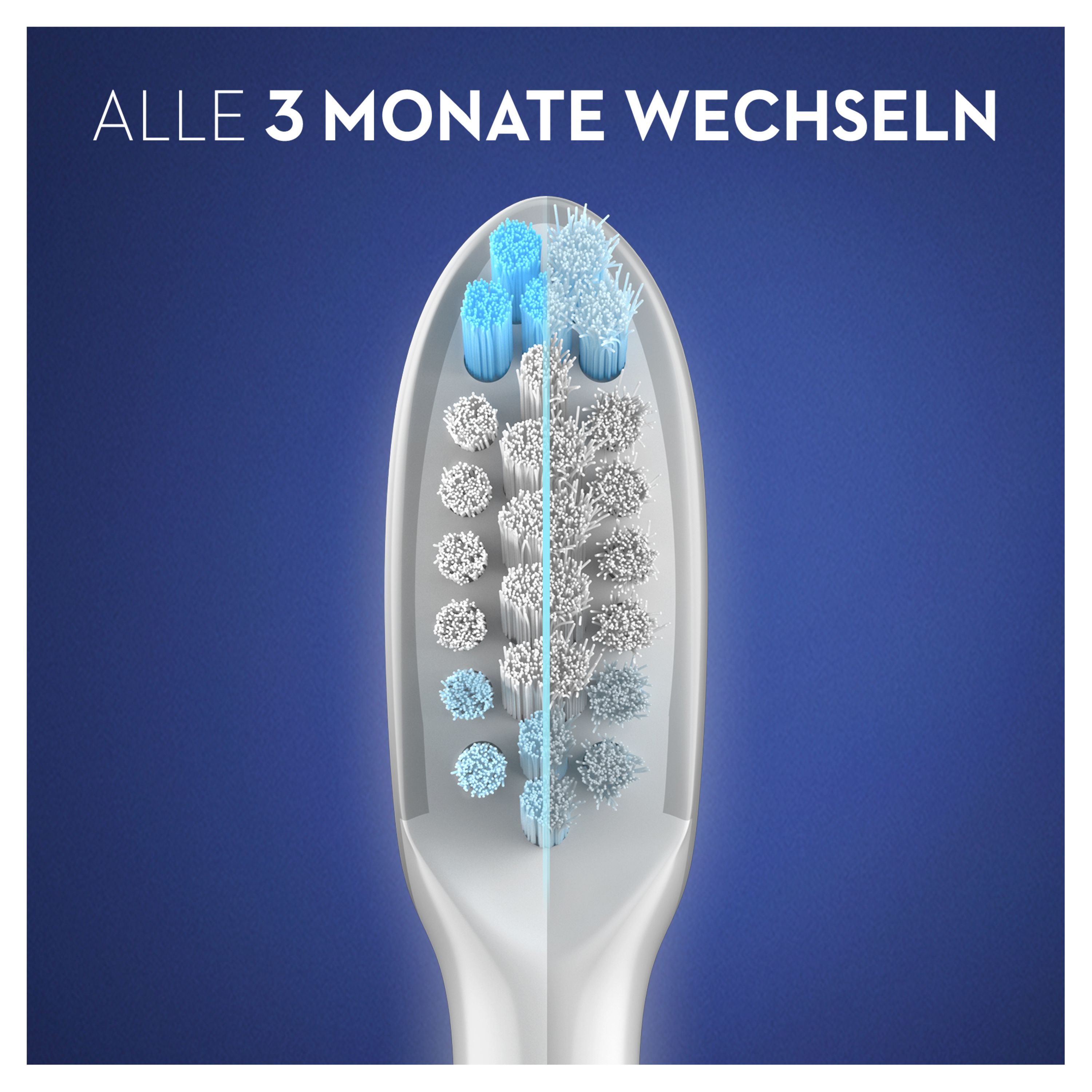 Nahaufnahme eines Bürstenkopfes. Text: ALLE 3 MONATE WECHSELN. Blaue und weiße Borsten.