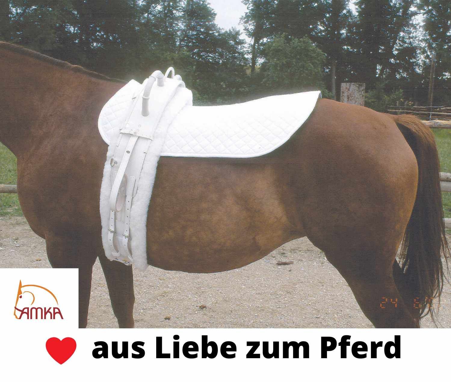 Weißes Sattelzeug auf einem braunen Pferd. Text: AMKA Logo, aus Liebe zum Pferd.
